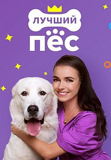Лучший пёс (2020) смотреть онлайн