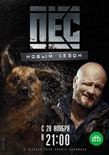 Пес 3 сезон (2017) смотреть онлайн