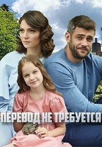 Перевод не требуется (2020) смотреть онлайн